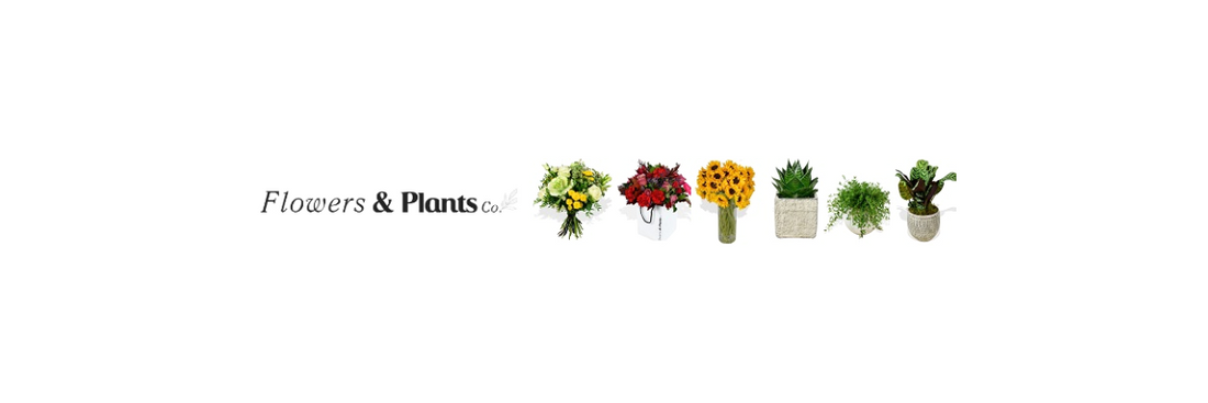 Rooted in Kindness: Why We Love Flowers & Plants Co.