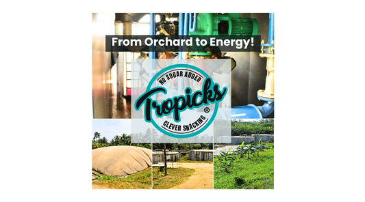 From Orchard to Energy!