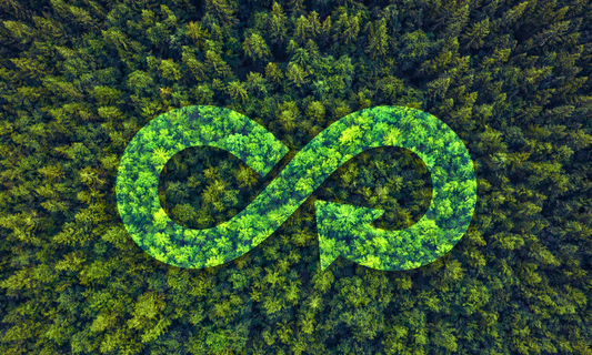 Climate & the Circular Economy