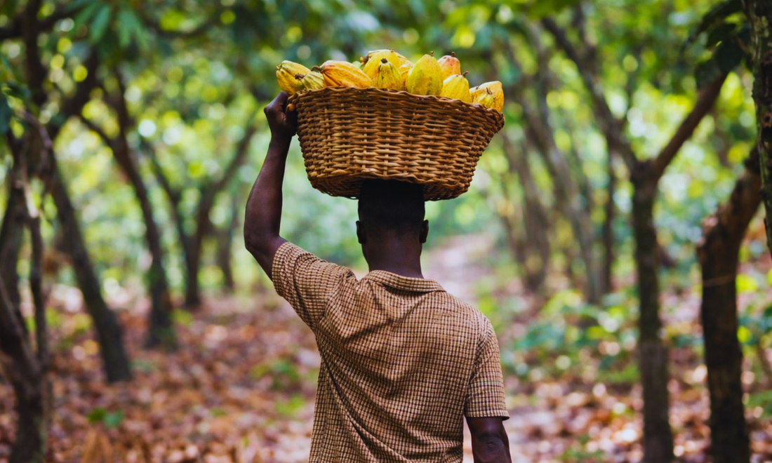 Worker & Community Impact