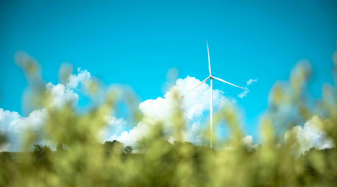 Fabmundo’s Commitment to Eco-Friendly Products & Services