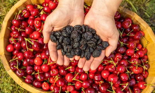 Supply Chain Transparency & Fair Trade